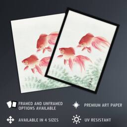 "Artery8 Two Veiltail Goldfish in Pond Vintage Japan Wall Art Print Koson in Pink - Size: W18"" x H24""" - thumbnail 2