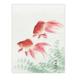 "Artery8 Two Veiltail Goldfish in Pond Vintage Japan Wall Art Print Koson in Pink - Size: W18"" x H24""" - thumbnail 1