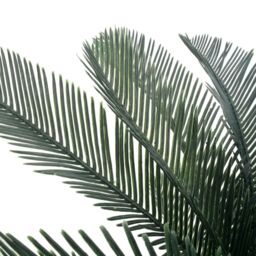 Berkfield Home Artificial Plant Cycas Palm with Pot Green 125 cm - thumbnail 2