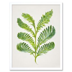 "Artery8 Wall Art Print Royal Fern Leaf Modern Watercolour Botanical Art Framed in White - Size: W12"" x H16"""