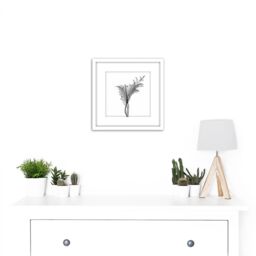 Artery8 Schwartz NJIT Greyscale X-Ray Transparent Plant Photo 8X8 Inch Square Wooden Framed Wall Art Print Picture with Mount in White - thumbnail 2