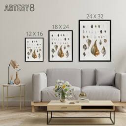 "Artery8 James De Kay Different Types of Sea Shells Framed Canvas Art Print in White - Size: W12"" x H16""" - thumbnail 4