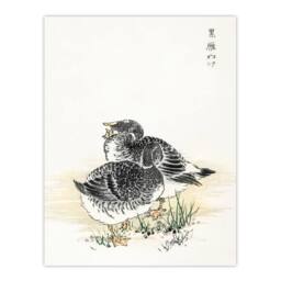 "Artery8 Black Brant Geese Pictorial Monograph Birds Wall Art Print Kashu in Beige - Size: W12"" x H16""" - thumbnail 1