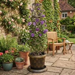 FLAVORA 5x Black & Gold Tower Pot Climbing Plant Planter - Size: 100g - thumbnail 4