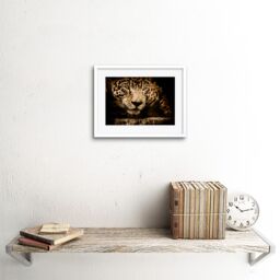 "Artery8 Wall Art Print Jaguar Head Big Cat Framed in White - Size: W7"" x H9""" - thumbnail 2