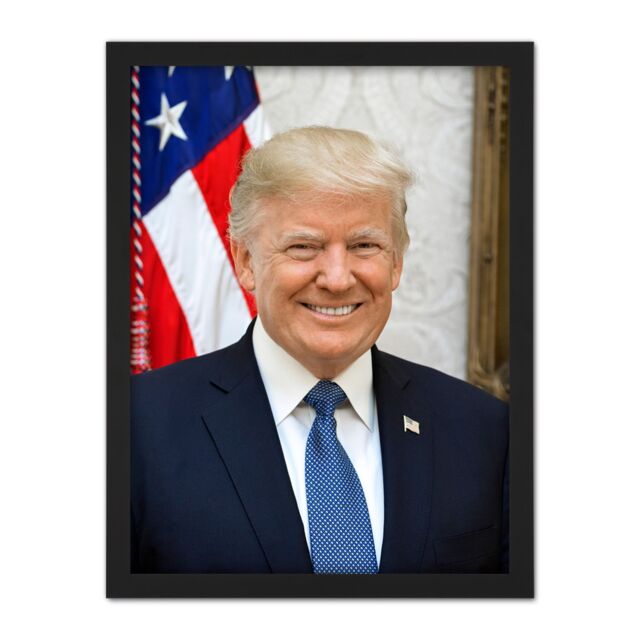 "Artery8 Wall Art Print Craighead Portrait US President Donald Trump Photo Large Framed Wall Décor Art in White - Size: W18"" x H24""" - image 1