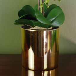 Leaf 52cm Artificial Orchid Large - White / Gold - thumbnail 3
