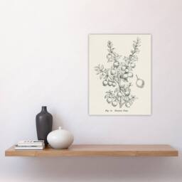 "Artery8 Fruit Growers Guide Chilean Guava Wright Wall Art Poster Print in White - Size: W12"" x H16""" - thumbnail 4