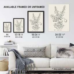 "Artery8 Fruit Growers Guide Chilean Guava Wright Wall Art Poster Print in White - Size: W12"" x H16""" - thumbnail 3