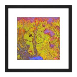 Artery8 Psychedelic Paint Swirls Mushrooms Bright 8X8 Inch Square Wooden Framed Wall Art Print Picture with Mount in Black - thumbnail 1