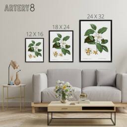 "Artery8 Mountain Camellia Flower Redoute Vintage Black Framed Canvas Wall Art in White - Size: W12"" x H16""" - thumbnail 4