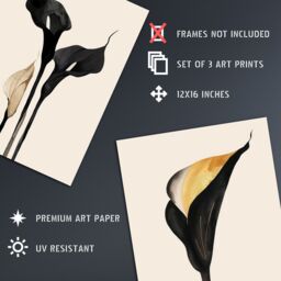 Artery8 Set of 3 Abstract Black Gold Calla Lily Flowers A4 Size Art Prints - thumbnail 4