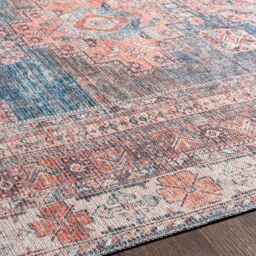 Livabliss Colin-Washable Brown Grey Blue Traditionnal Vintage Boho Living Dining Rug in Pink - Size: 160 cm x 220 cm - thumbnail 3