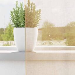 Berkfield Home Voile Curtains with Loops 2 pcs Sand 140x245 cm in Tan