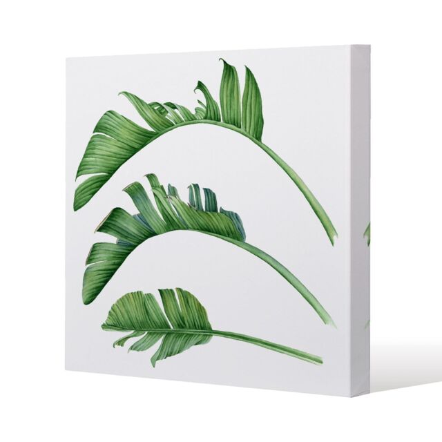 Benjamin Tate Design Triple Botanical Slim Style Canvas Print 20x20cm in Natural - Size: 20x20 cm - image 1