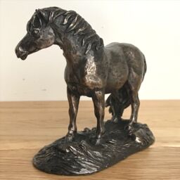 Animal Crackers Shetland Pony Figurine In Solid Cold Cast Bronze Designed By Harriet Glen, Quality Horse Lover Home Decoration - thumbnail 3