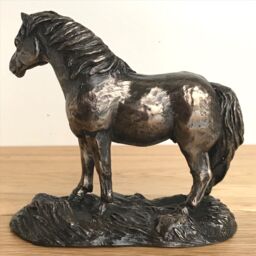 Animal Crackers Shetland Pony Figurine In Solid Cold Cast Bronze Designed By Harriet Glen, Quality Horse Lover Home Decoration - thumbnail 4