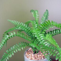 Leaf Artificial 40cm Fern Plant with Ceramic Planter Stand in Green - thumbnail 4