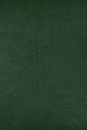 Enhanced Living 100% Blackout Luxury Supersoft Velvet Thermal Eyelet Curtains for Living Room & Bedrooms in Green - Size: 117 cm width x 183 cm drop - thumbnail 4