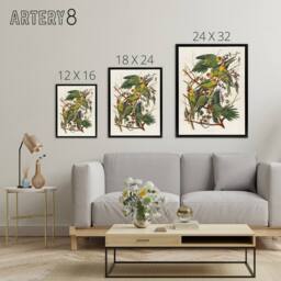 "Artery8 Carolina Parakeet Parrot Audubon Nature Black Framed Canvas Wall Art in White - Size: W12"" x H16""" - thumbnail 4
