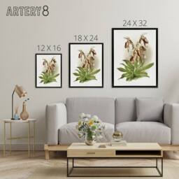"Artery8 F Sander Cypripedium Morganiae Orchid Flowers Framed Canvas Art - Size: W12"" x H16""" - thumbnail 4