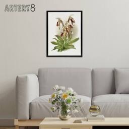 "Artery8 F Sander Cypripedium Morganiae Orchid Flowers Framed Canvas Art - Size: W12"" x H16""" - thumbnail 3