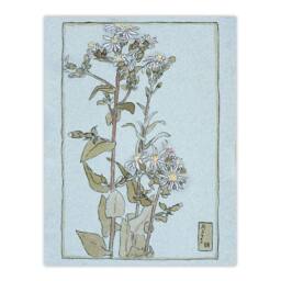 Artery8 Hannah Borger Overbeck Framed Wall Art Print Aster on Green Ground in Blue - Size: A4 - thumbnail 3