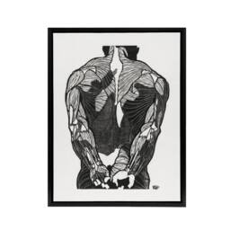 "Artery8 Anatomical study of mans back muscles Stolk Framed Canvas Wall Art in White - Size: W18"" x H24""" - thumbnail 1