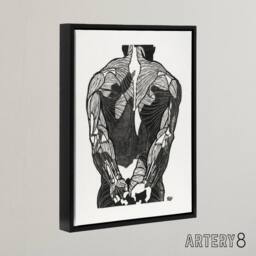 "Artery8 Anatomical study of mans back muscles Stolk Framed Canvas Wall Art in White - Size: W18"" x H24""" - thumbnail 2
