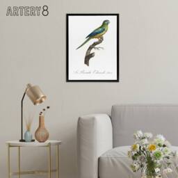 "Artery8 Turquoise Ground Parakeet Levaillant Framed Canvas Wall Art Print in White - Size: W12"" x H16""" - thumbnail 3