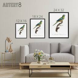 "Artery8 Turquoise Ground Parakeet Levaillant Framed Canvas Wall Art Print in White - Size: W12"" x H16""" - thumbnail 4