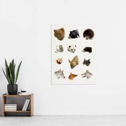 "Artery8 Small & Large Animals Vintage Artwork Lydekker Wall Art Poster Print in White - Size: W18"" x H24""" - thumbnail 4