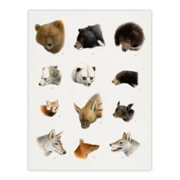 "Artery8 Small & Large Animals Vintage Artwork Lydekker Wall Art Poster Print in White - Size: W18"" x H24""" - thumbnail 1