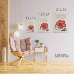 "Artery8 Poppy Snail & Crane Fly Calligraphy Canvas Wall Art Print in White - Size: W18"" x H24""" - thumbnail 4