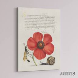 "Artery8 Poppy Snail & Crane Fly Calligraphy Canvas Wall Art Print in White - Size: W18"" x H24""" - thumbnail 2