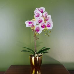 Leaf 48cm Harlequin Orchid Artificial - Pink with Gold Pot - thumbnail 1