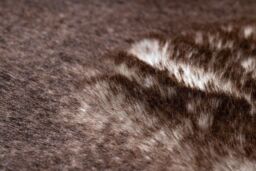 RugsX Lapin Rug in Brown - Size: 100 cm diameter - thumbnail 5
