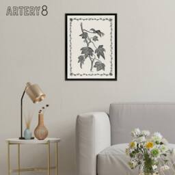 "Artery8 Vintage Botanical Pustulata Leaves Hibberd Black Framed Canvas Art in White - Size: W12"" x H16""" - thumbnail 3