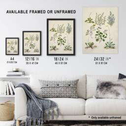 "Artery8 Native New Zealand Wildflowers Artwork Featon Framed Wall Art Print in Beige - Size: W12"" x H16""" - thumbnail 3