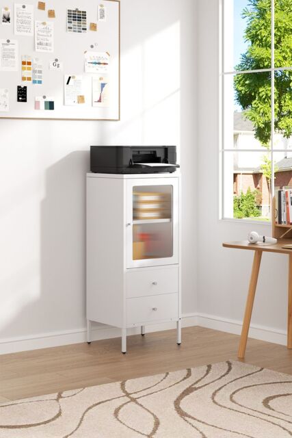 H&O Direct Steel File Cabinet Storage Cabinet with 2 Drawers & 2 Adjustable Shelves in White