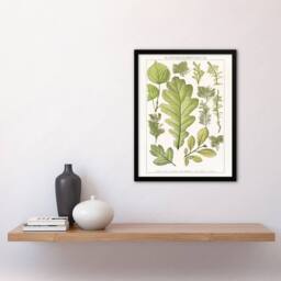 Artery8 Brockhaus Lexikon Framed Wall Art Print Plant Lover Botanical Leaves in White - Size: A4 - thumbnail 2