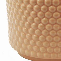Leaf Dusty Pink Peach Raised Dots Ceramic Plant Pot 15 x 15 x 12.5cm in Orange - Size: 15 x 15 x 12.5 cm - thumbnail 4
