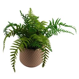 Leaf Dusty Pink Peach Raised Dots Ceramic Plant Pot 15 x 15 x 12.5cm in Orange - Size: 15 x 15 x 12.5 cm - thumbnail 6