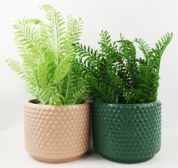 Leaf Dusty Pink Peach Raised Dots Ceramic Plant Pot 15 x 15 x 12.5cm in Orange - Size: 15 x 15 x 12.5 cm - thumbnail 2