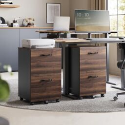 VASAGLE 2 Drawer Rolling File Cabinet for Letter Size Documents in Dark Brown