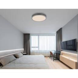 Netlighting Doro Ceiling Light Silver 45cm LED Dimmable 2700-6500K Remote Timer - thumbnail 6