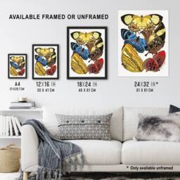 Artery8 Vintage Butterflies Yellow Red Blue Vintage Framed Wall Art Print Seguy - Size: A4 - thumbnail 3