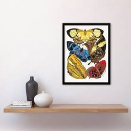 Artery8 Vintage Butterflies Yellow Red Blue Vintage Framed Wall Art Print Seguy - Size: A4 - thumbnail 4