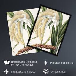 "Artery8 New Zealand Perching Lily Flower Plant Featon Framed Wall Art Print in Beige - Size: W12"" x H16""" - thumbnail 2