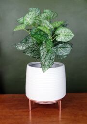 Leaf White Ceramic Planter Metal Stand Plant Pot - thumbnail 2